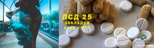 индика Алексеевка