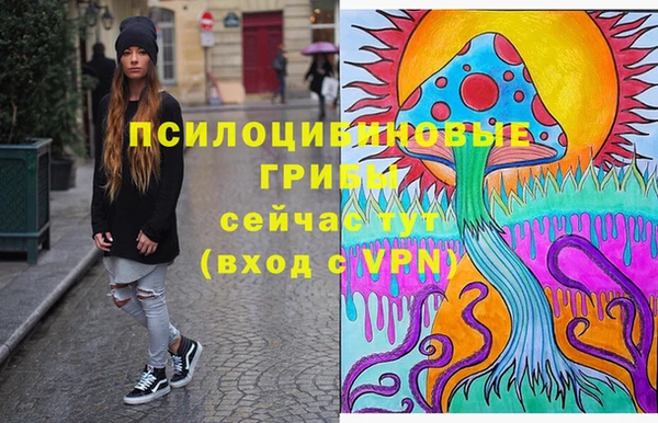 индика Алексеевка