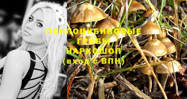 экстази Алексин