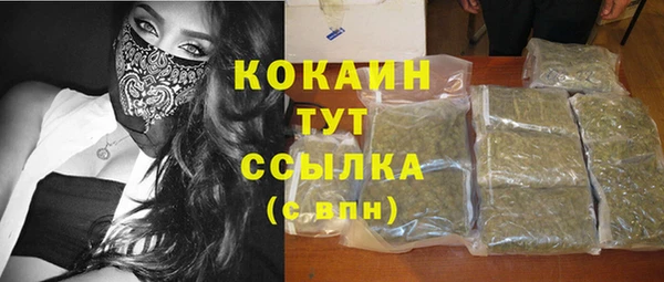 индика Алексеевка