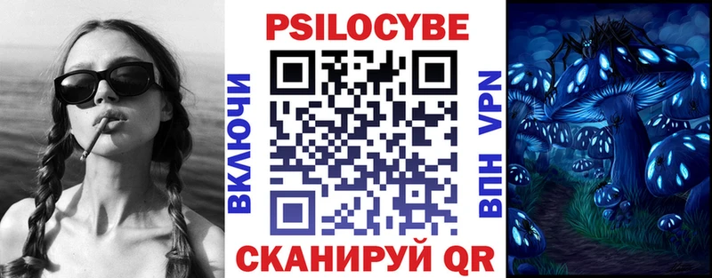 Галлюциногенные грибы Psilocybe Олонец