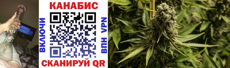 Бошки марихуана White Widow  цена   hydra ссылка  Олонец 